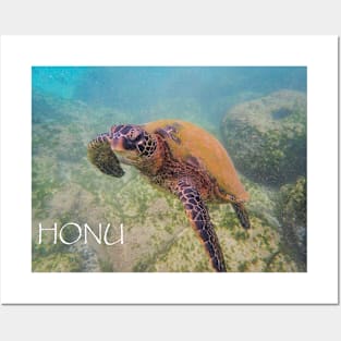 Honu-2 Posters and Art